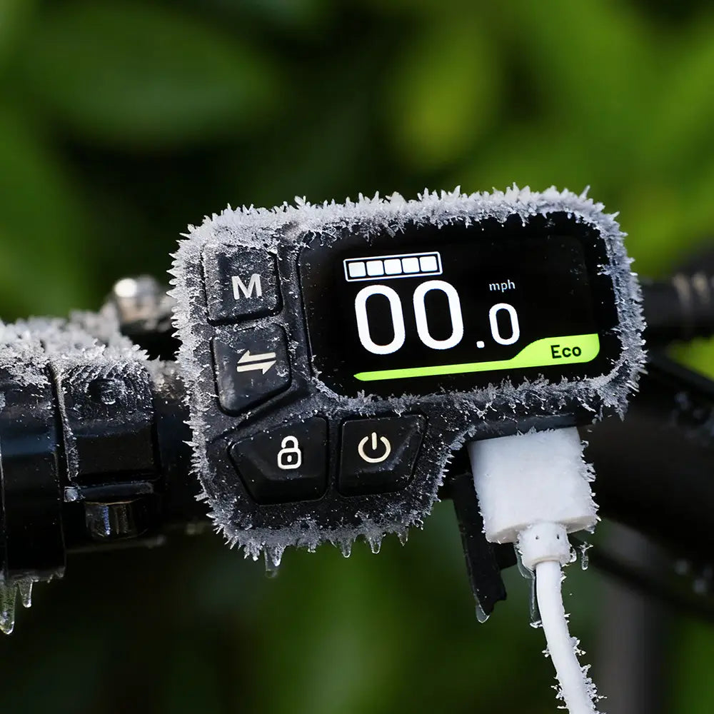 Fiido X Elektrische Vouwfiets Met Koppelingsensor