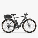 Fiido C21 E-Gravel & Stads-E-Bike