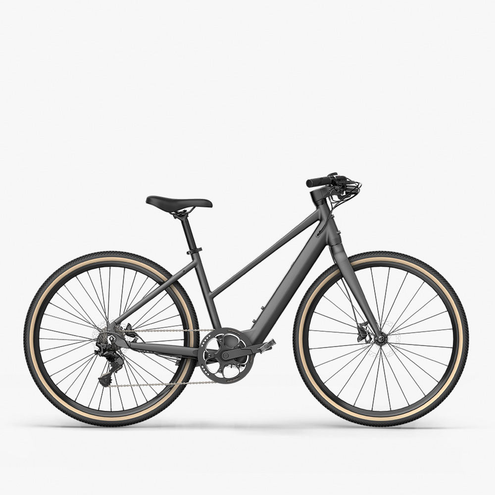 Fiido E-Gravel C22 Grijze Elektrische Fiets