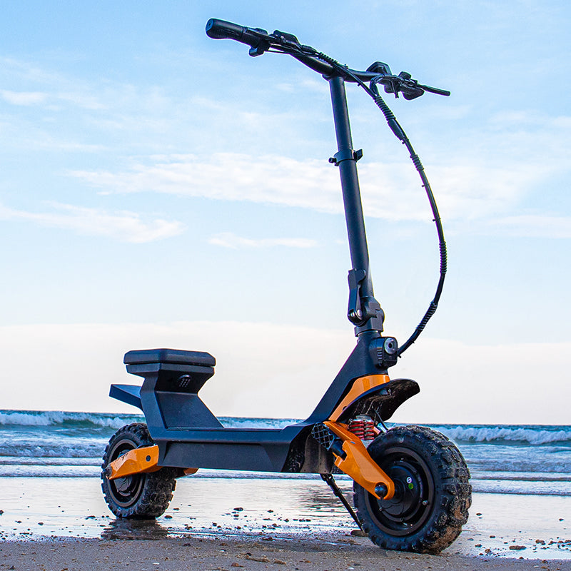 Fiido Beast elektrische scooter op het strand