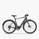 Fiido C21 E-Gravel & Stads-E-Bike