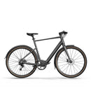 Fiido C21 E-Gravel & Stads-E-Bike