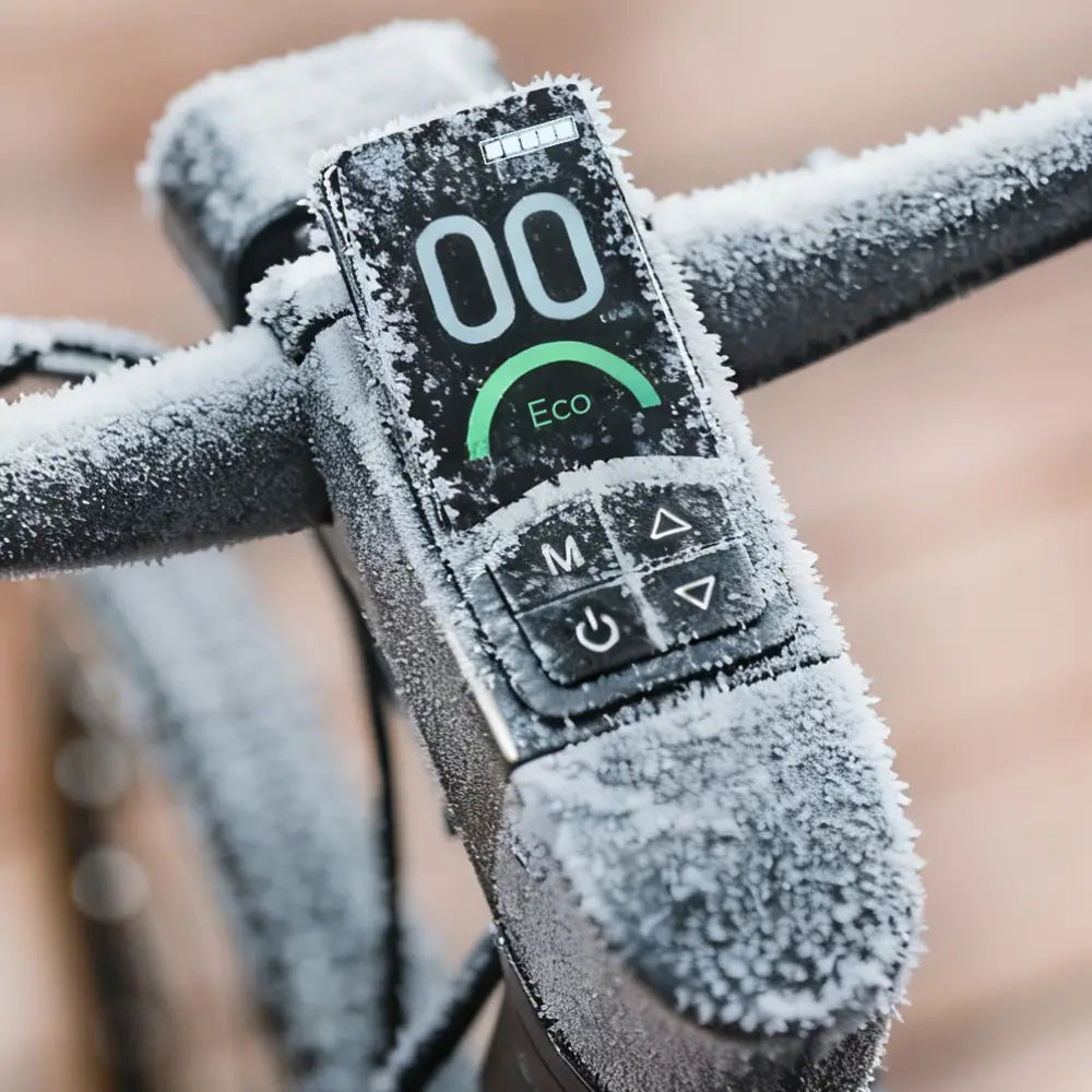 Fiido C21 E-Gravel & Stads-E-Bike