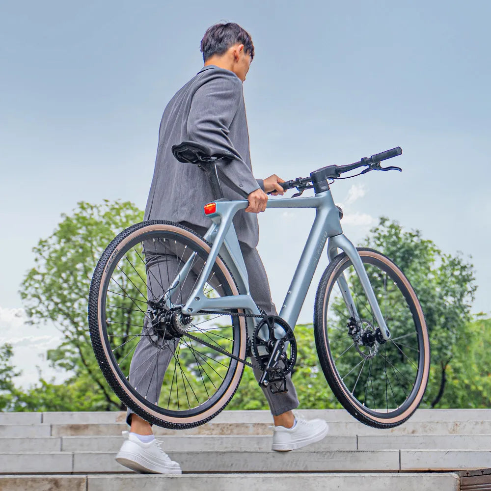 Fiido Air Carbon Lichtgewicht Elektrische Fiets