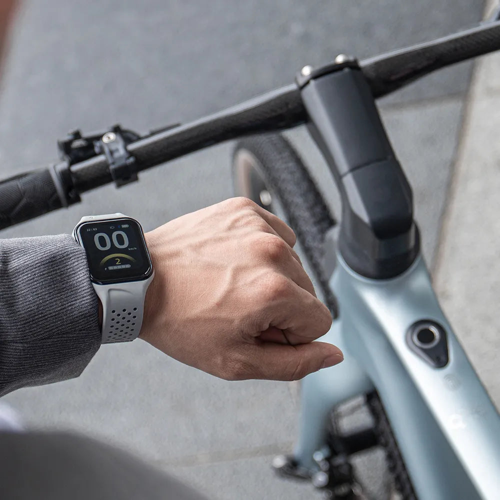Fiido Air Ultralichte E-bike van Koolstofvezel