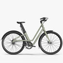 Fiido C700 Stads E-Bike