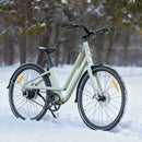 Fiido C700 Stads E-Bike