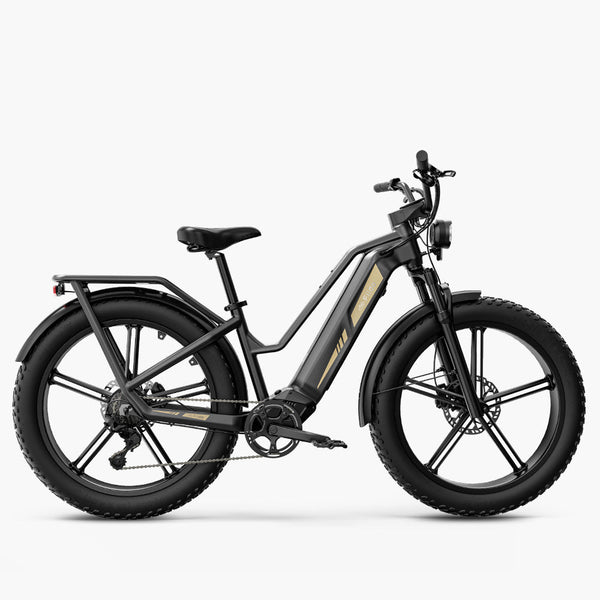 Fiido Titan Robuuste Cargo Elektrische Fiets