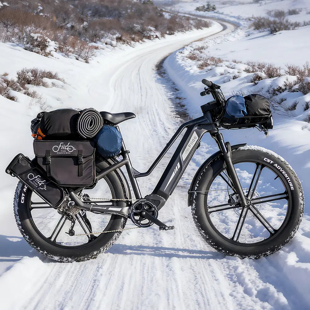 Titan Fat Tire Touring E-bike - Lange actieradius