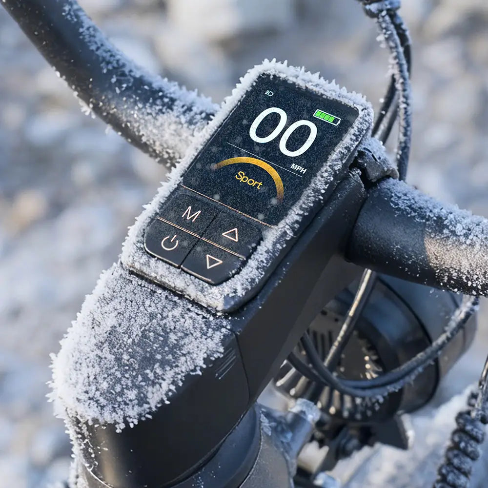 Titan Fat Tire Touring E-bike - Lange actieradius