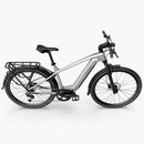 Fiido Nomads Pro elektrische trekking fiets