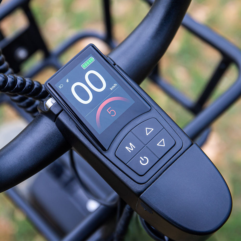 Fiido T1 Pro: Krachtige Elektrische Vrachtfiets met Dikke Banden en Snelheidsmeter