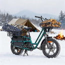 Fiido T2 Longtail Elektrische Bakfiets