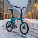 Fiido X Elektrische Vouwfiets Met Koppelingsensor